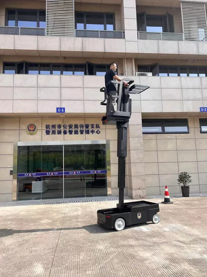 Customized Prefabricated Stable Reliable Order Picker on Sale